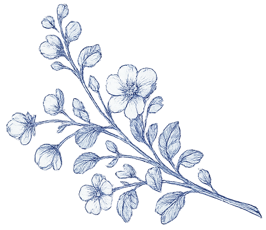 a sprig of flowers